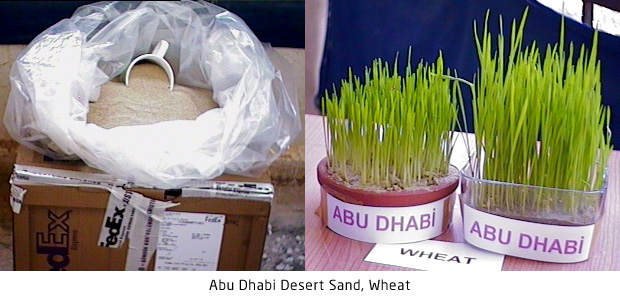AbuDhabi