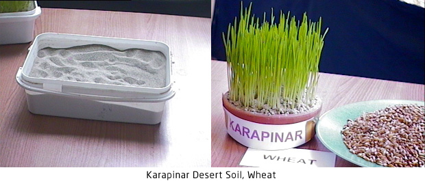 Karapinar